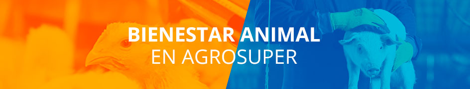 Bienestar animal